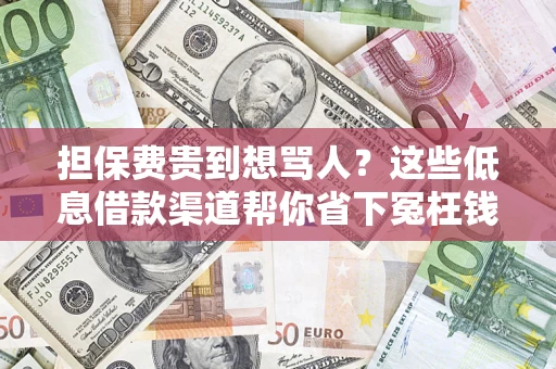 济南担保费贵到想骂人？这些低息借款渠道帮你省下冤枉钱