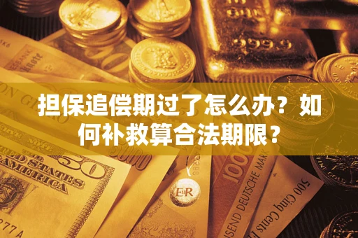 济南担保追偿期过了怎么办？如何补救算合法期限？