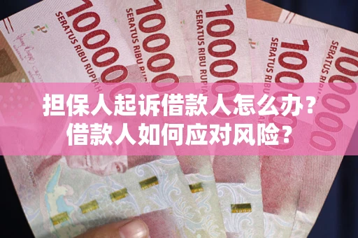 济南担保人起诉借款人怎么办？借款人如何应对风险？