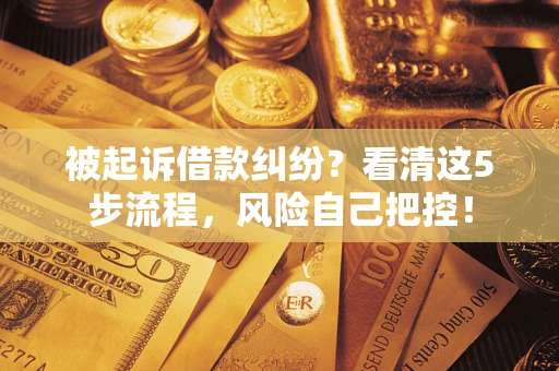 济南被起诉借款纠纷？看清这5步流程，风险自己把控！