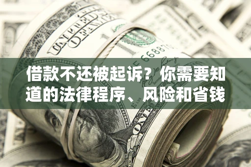 济南借款不还被起诉？你需要知道的法律程序、风险和省钱技巧